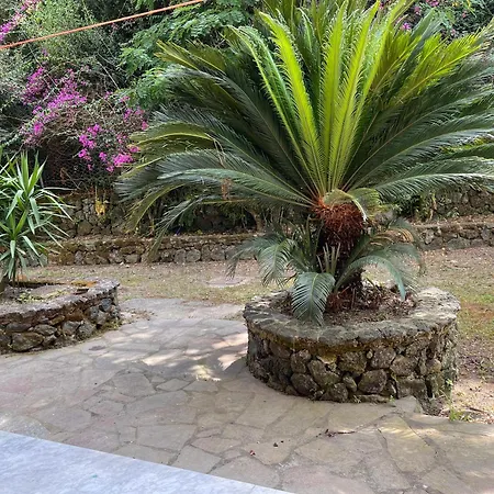 Apartmán By The Sea Ischia